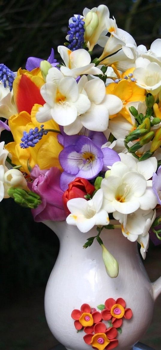 freesia, muscari, flowers, pot, beautifully