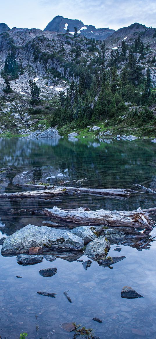 pond, logs, stones, mountains, trees