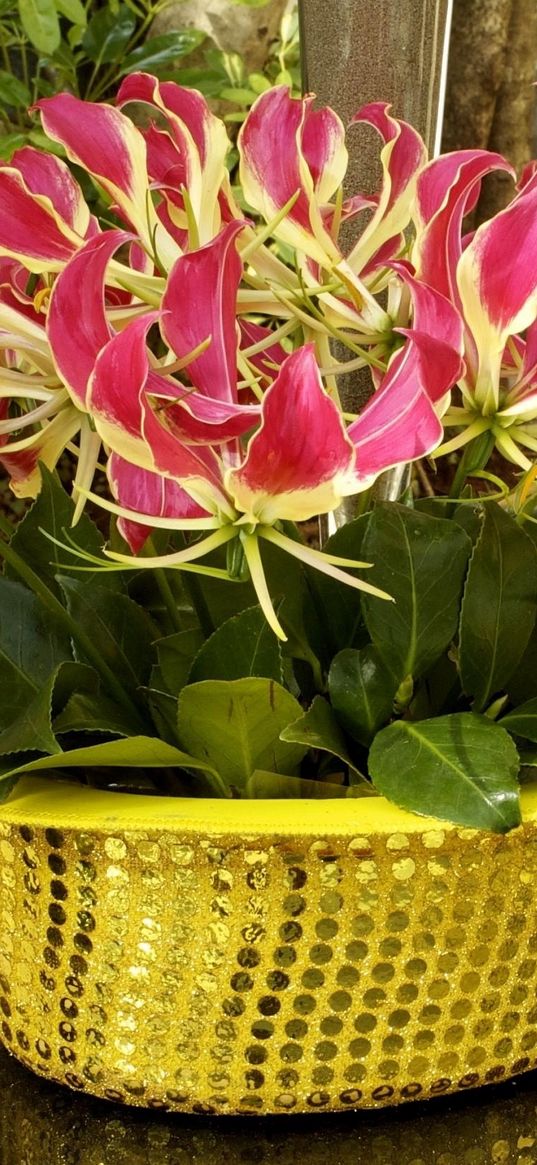 gloriosa, hat, flowers, sequins, table