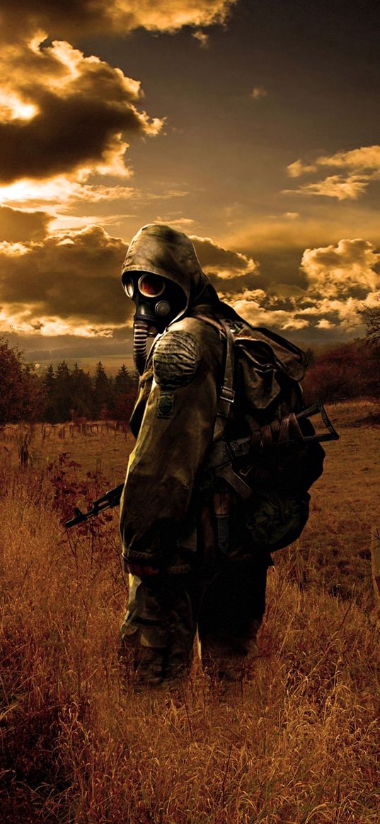 stalker, game, military, gas mask, weapon, forest