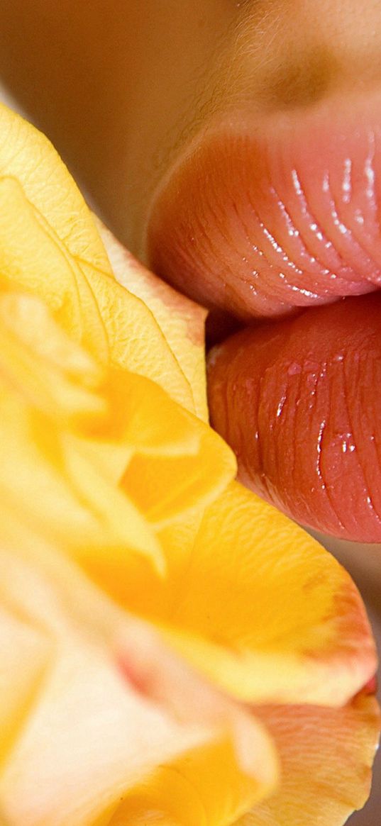 lips, flower, yellow, pink, tender