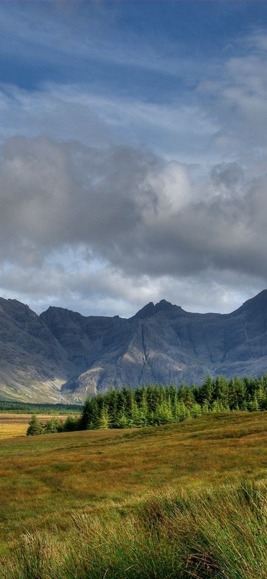 mountains, tops, clouds, trees, glade