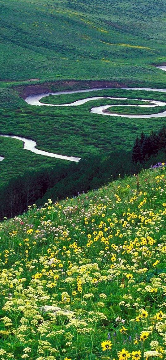 river, bends, mountains, glade, flowers