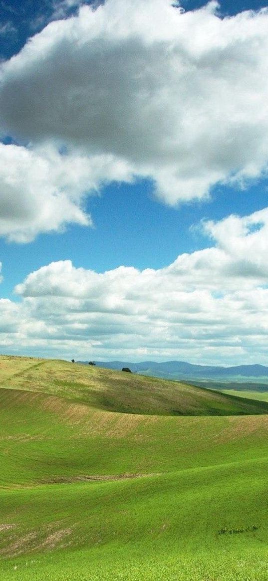 plain, greens, clouds, fields, tranquillity