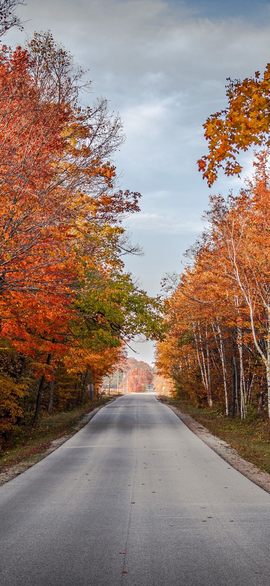 road, trees, autumn, nature, view