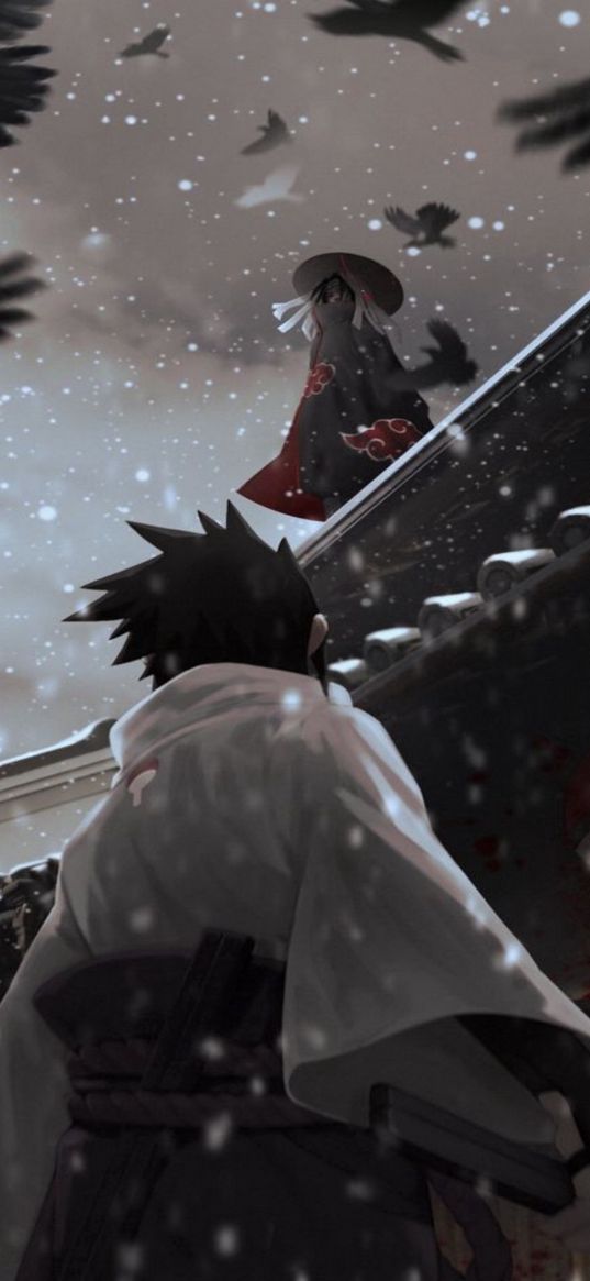 sasuke, itachi, naruto, anime, birds, snow, art