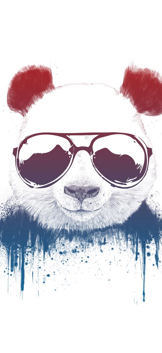 panda, sunglasses, cool, paint, smudges, white background, art