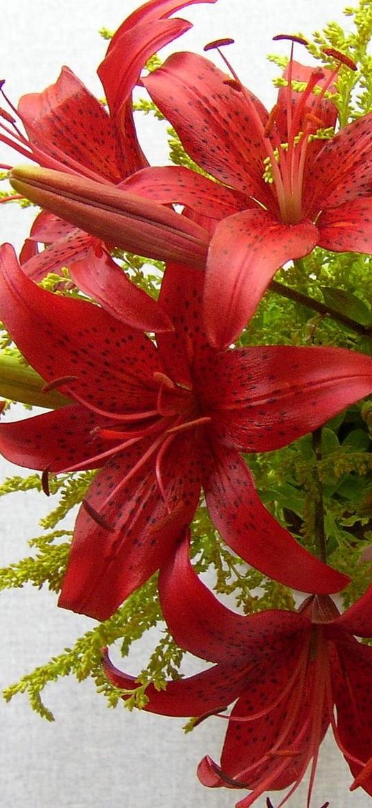 lilies, flowers, bouquet, stamen, close-up