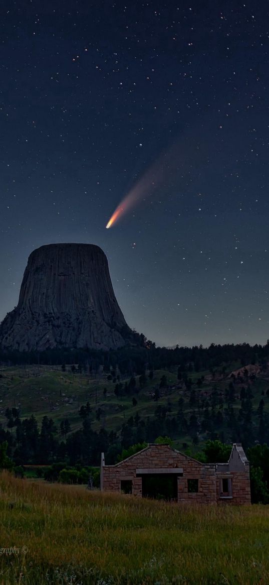 field, ruin, savannah, trees, peak, comet, starry sky