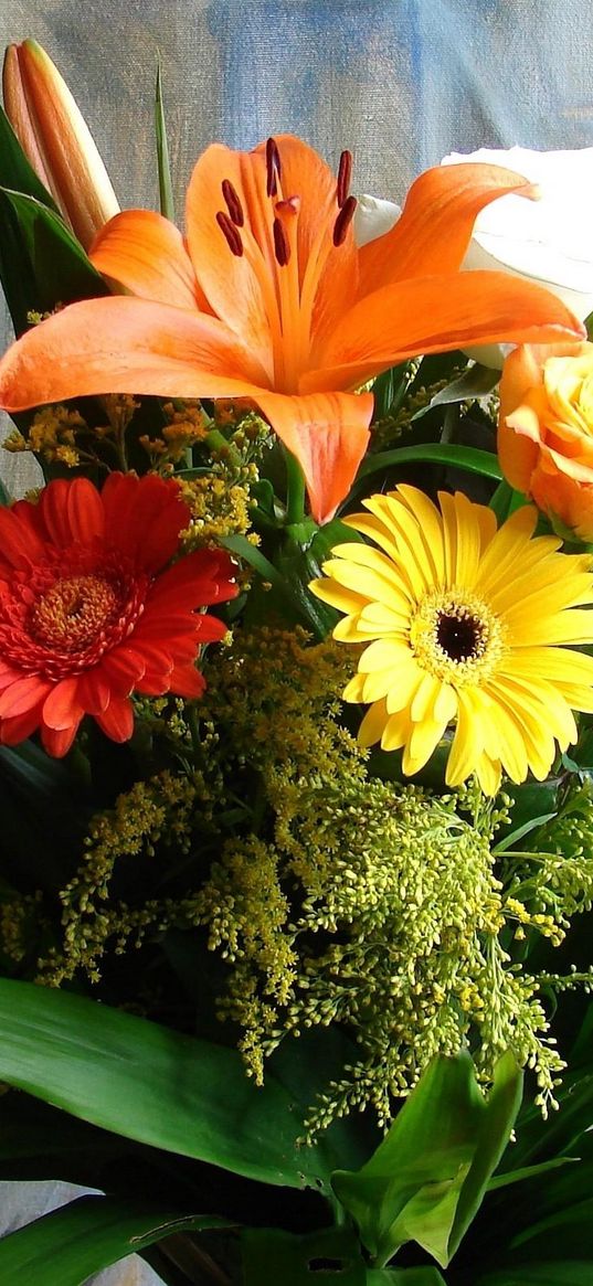 gerberas, lilies, roses, flowers, bouquets, composition, picture