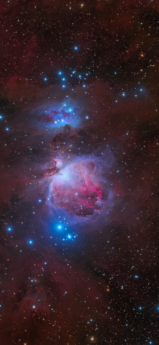 orion, nebula, stars, space