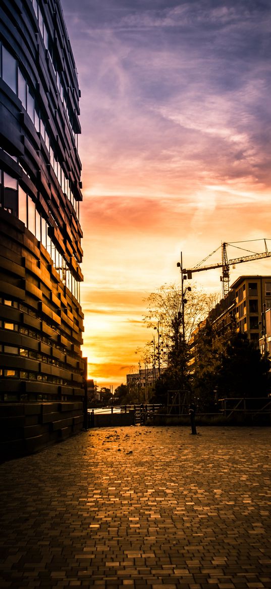 building, street, trees, paving stones, twilight