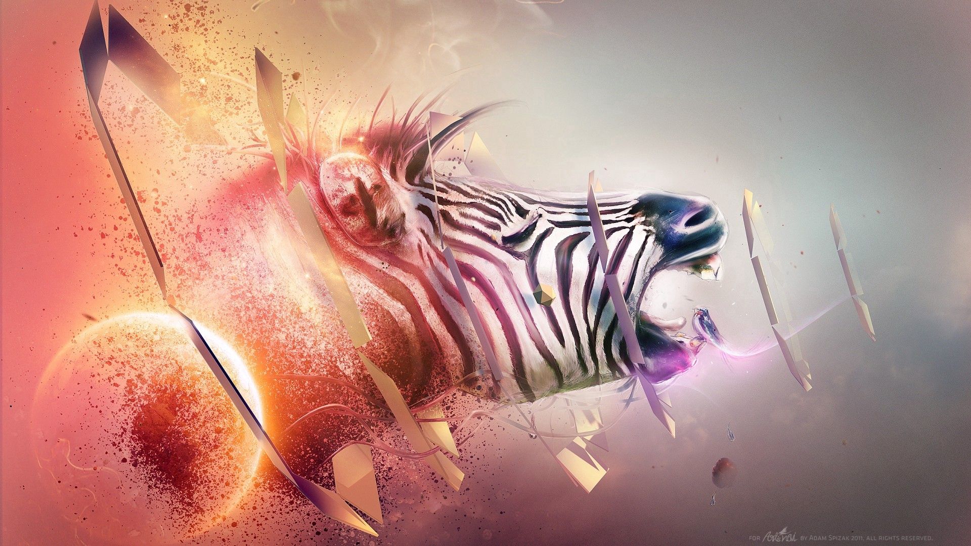 zebra, head, bands, explosion, fantasy