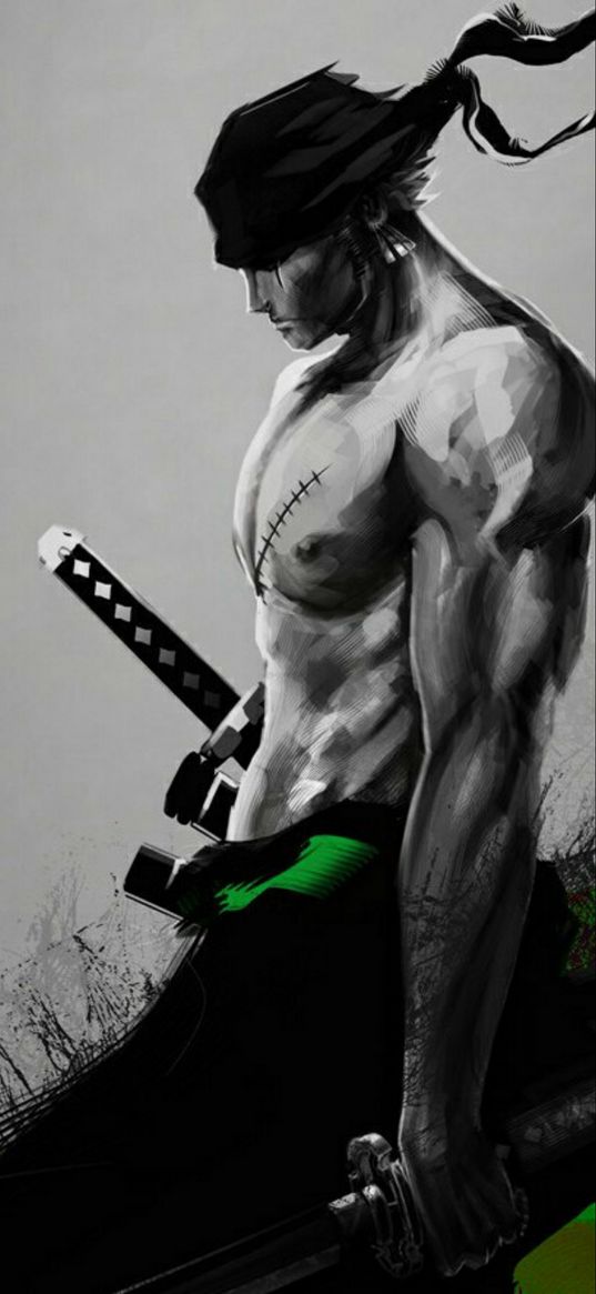 one piece, roronoa zoro, anime, warrior, katanas, art