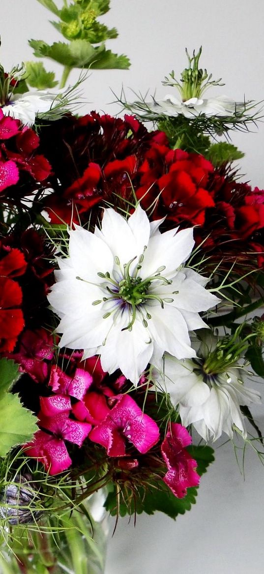 cloves, nigella, flowers, bouquet, beautifully