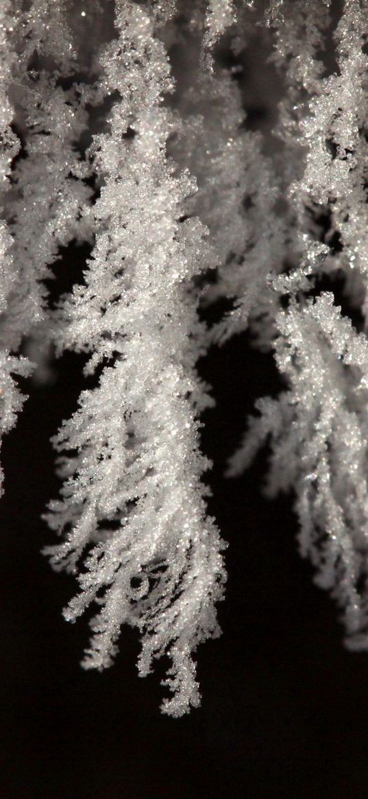 close-up, white, black, snow, snowflakes