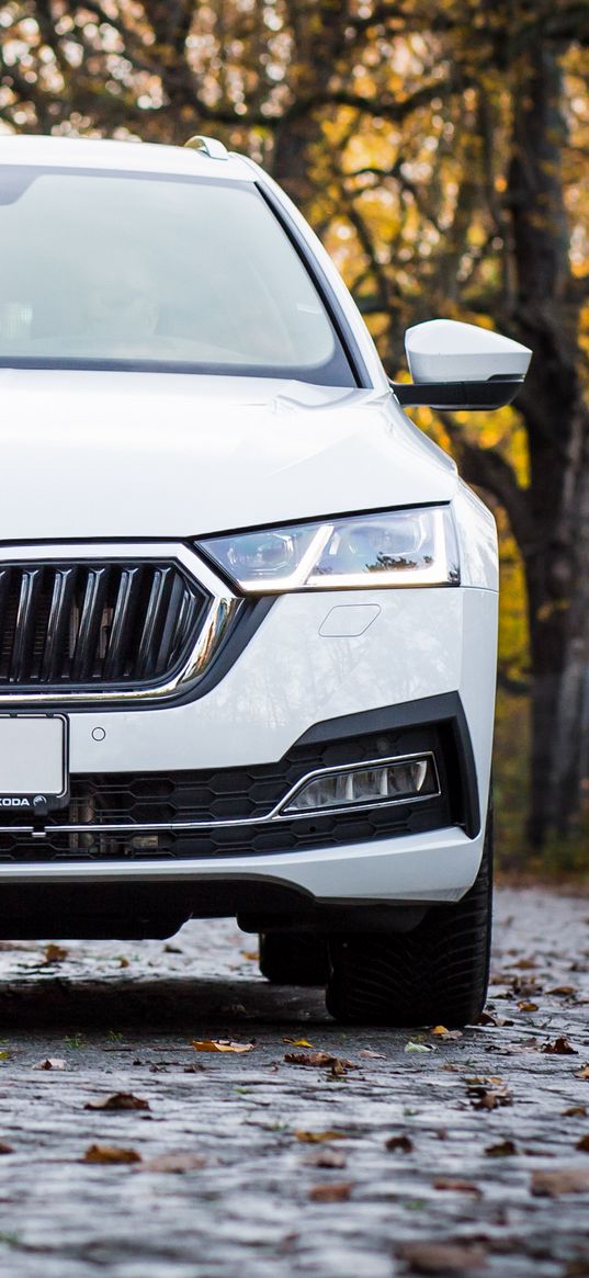 skoda octavia, skoda, car, white, front view, autumn