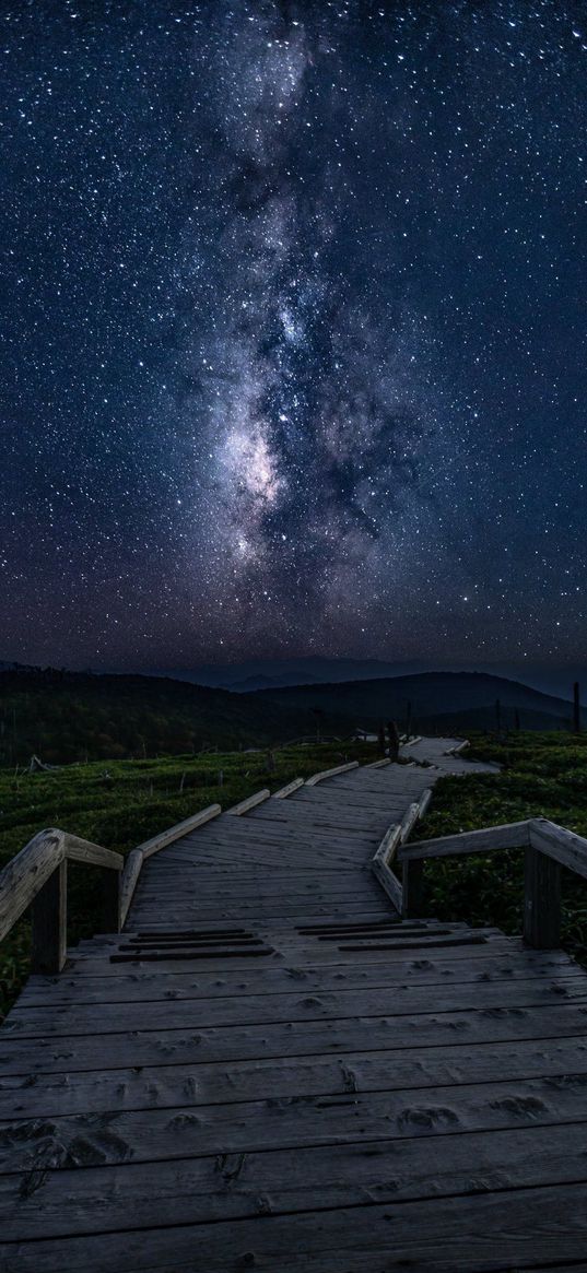 footbridge, savannah, milky way, night, stars