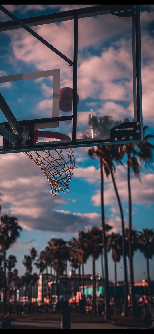 basketball, ring, playground, palm trees, sky, clouds