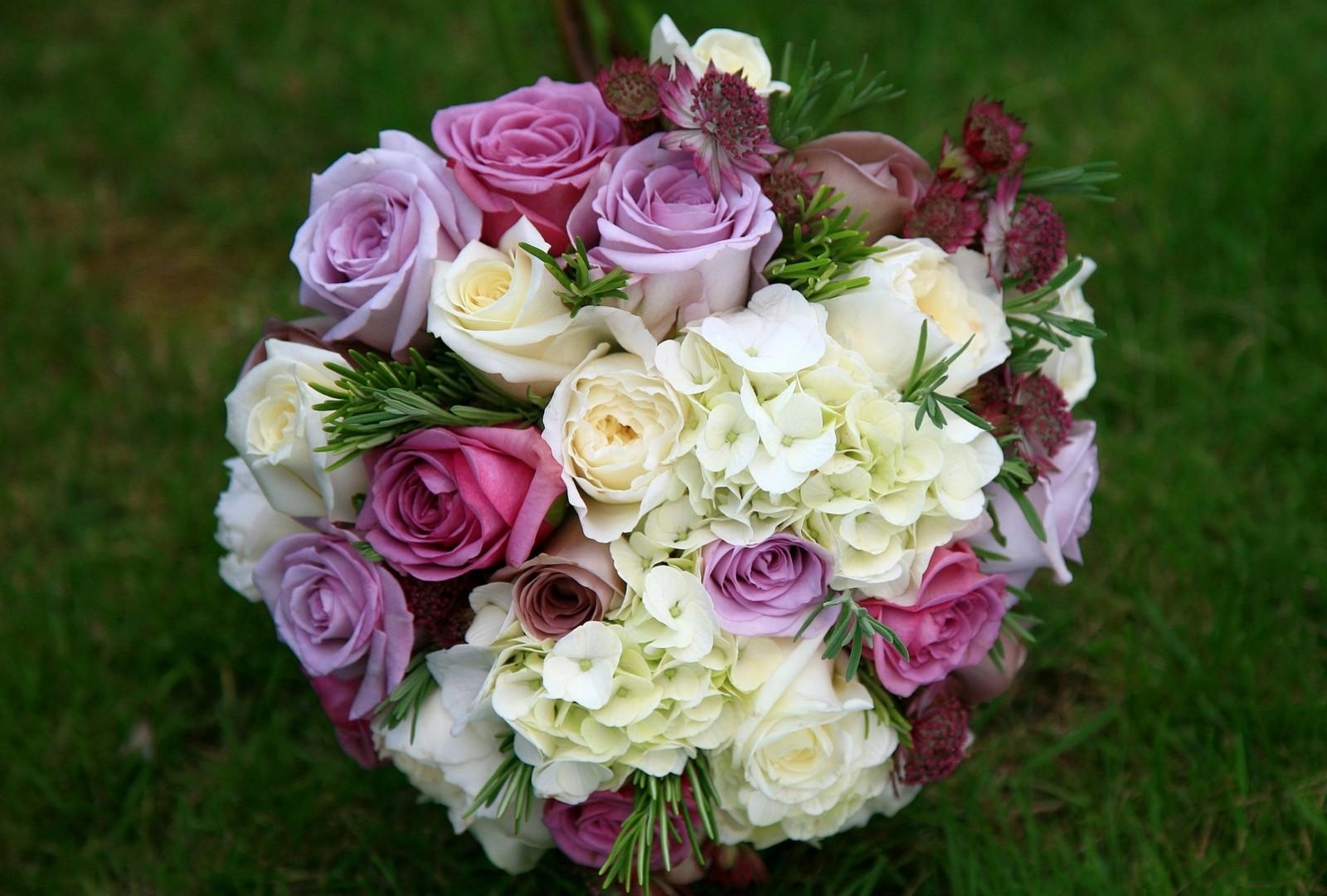 roses, hydrangea, astrantsiya, flower, grass