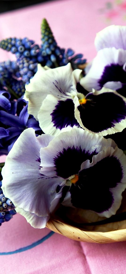 hyacinth, muscari, pansies, flowers, bouquet, basket