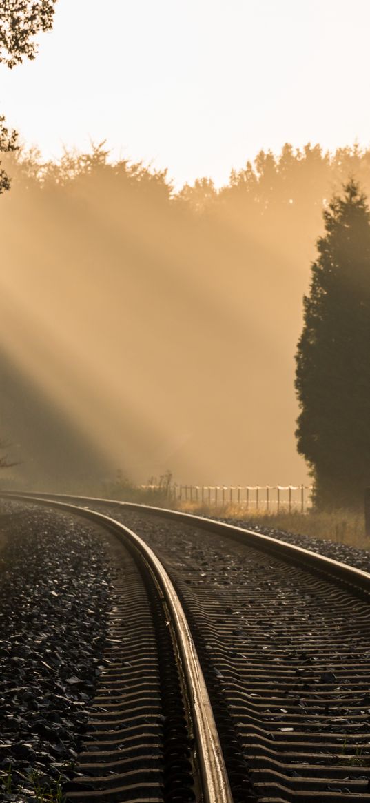 railroad, trees, fog, sunlight