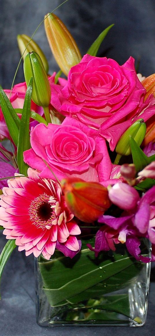 roses, gerberas, orchids, buds, flowers, composition