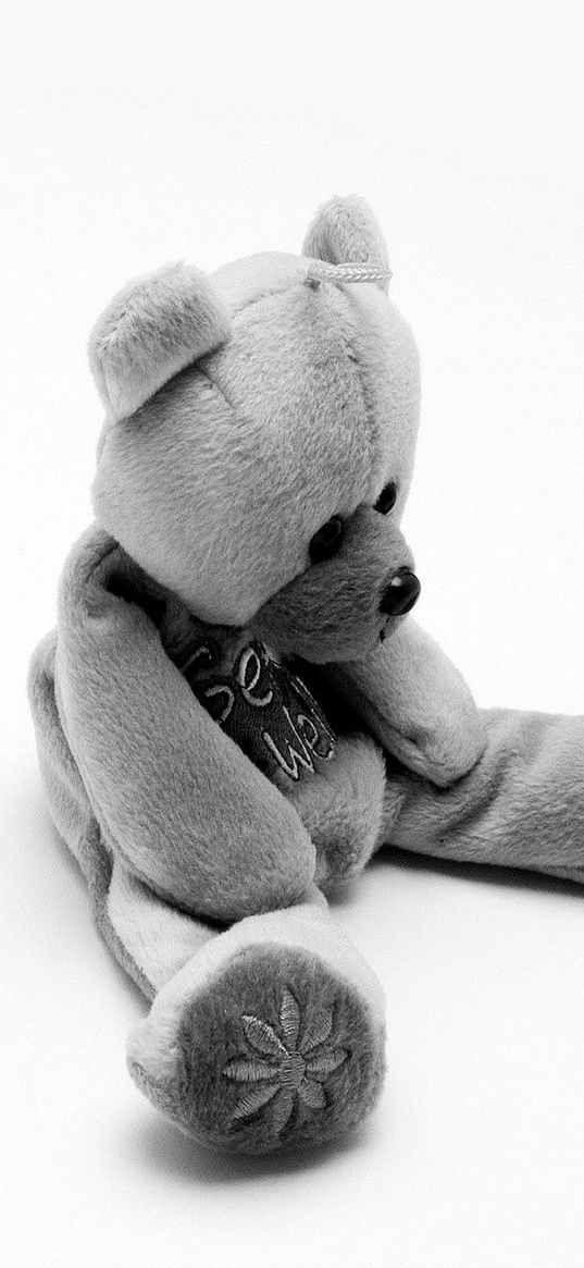 bear, toy, soft, black and white