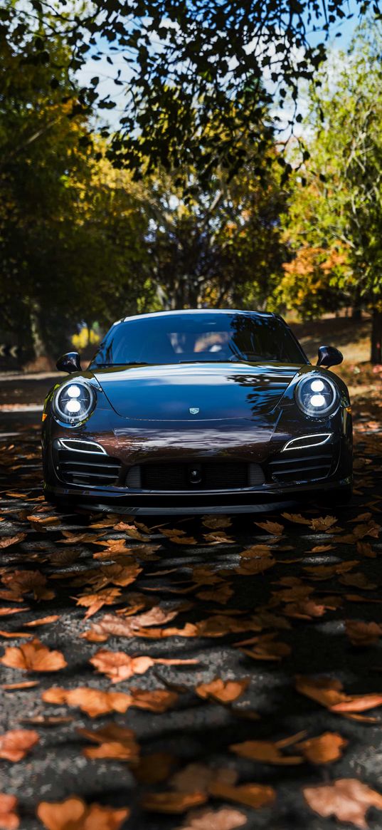 porsche 911, porsche, car, road, leaves, trees, autumn