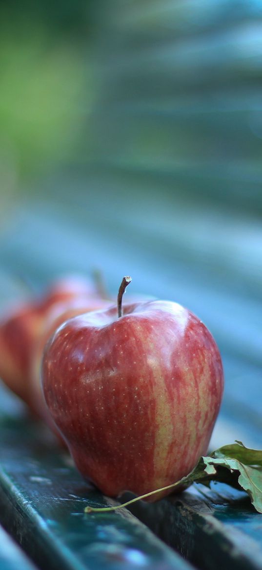 apples, bench, leaves