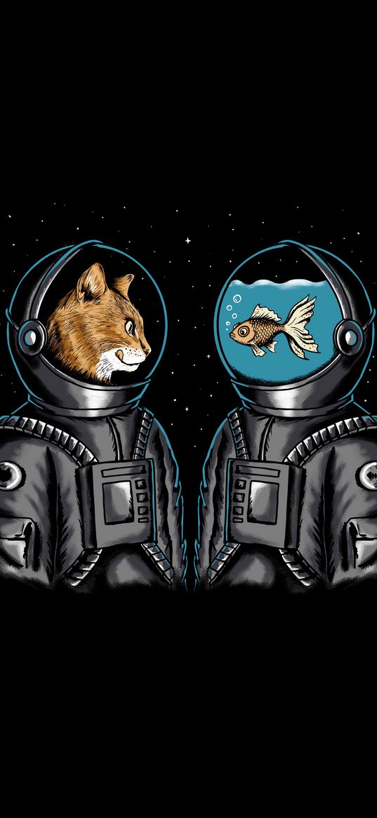 cat, fish, aquarium, astronaut, space, art