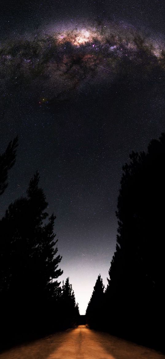 road, trees, forest, milky way, starry sky, stars, night