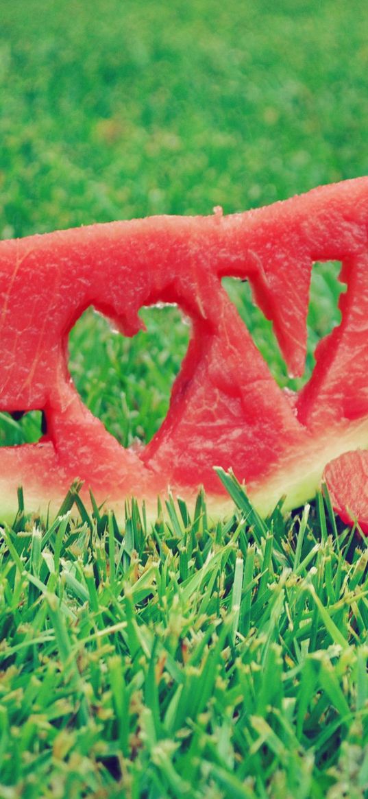 water-melon, inscription, love, word, lawn, grass