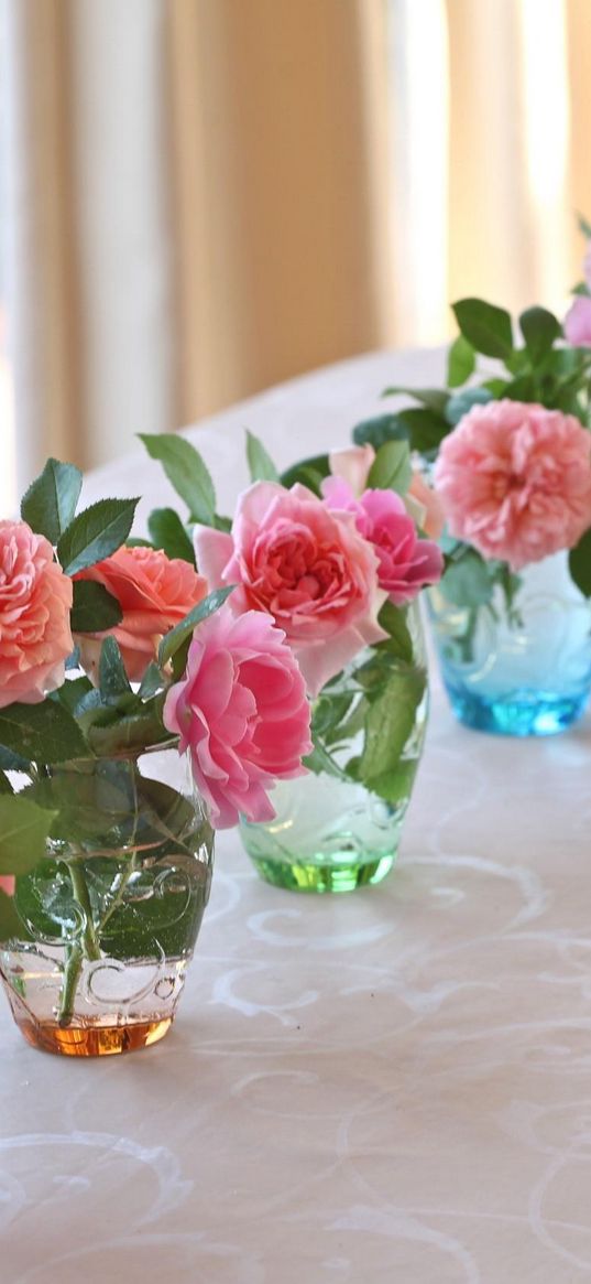 roses, flowers, vases, several