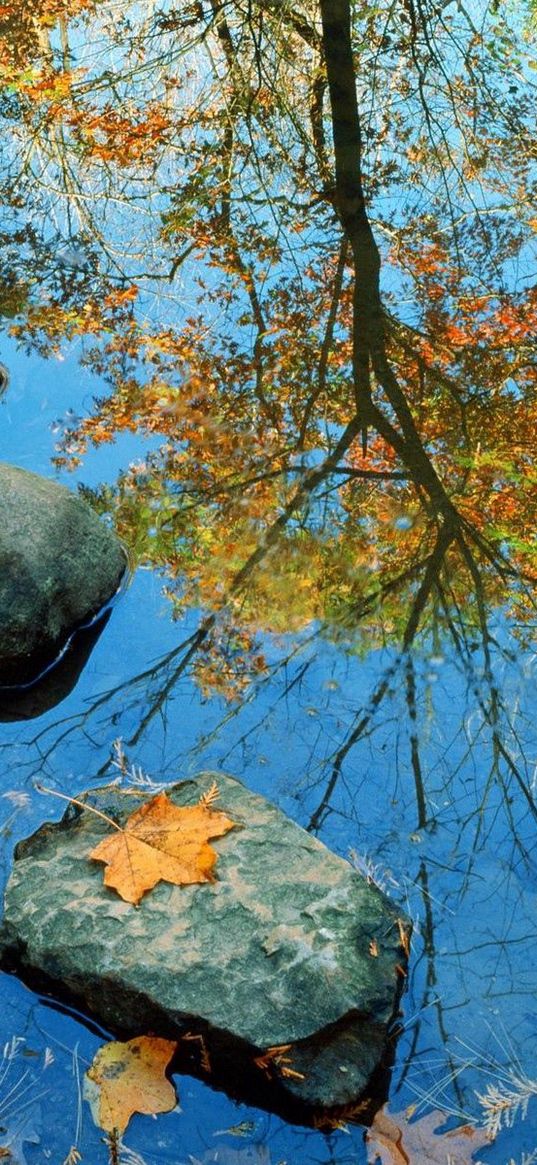 autumn, stone, leaves, colors, reflection, mirror