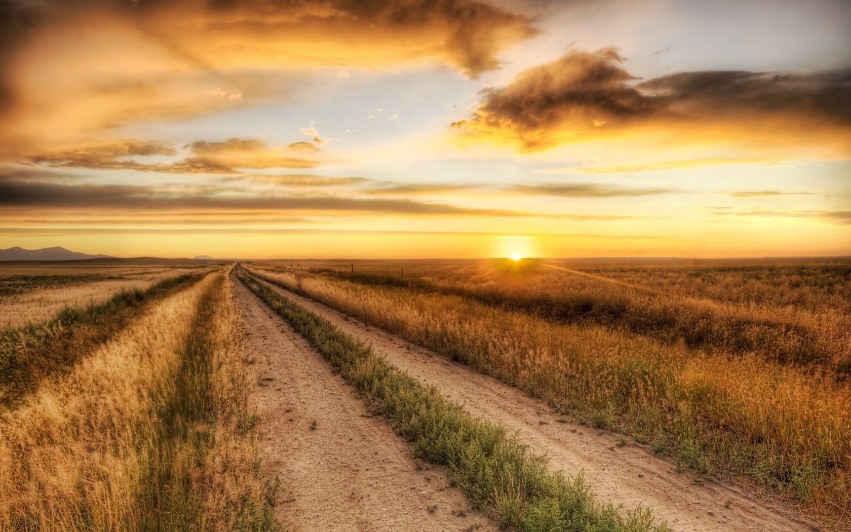 road, field, evening, decline, autumn, grass