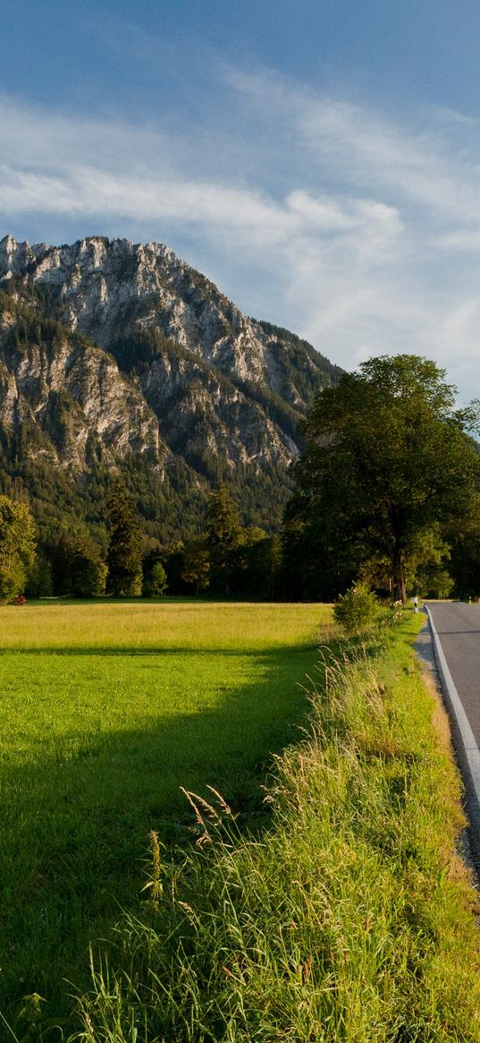 road, asphalt, field, green, trees, mountains, castle