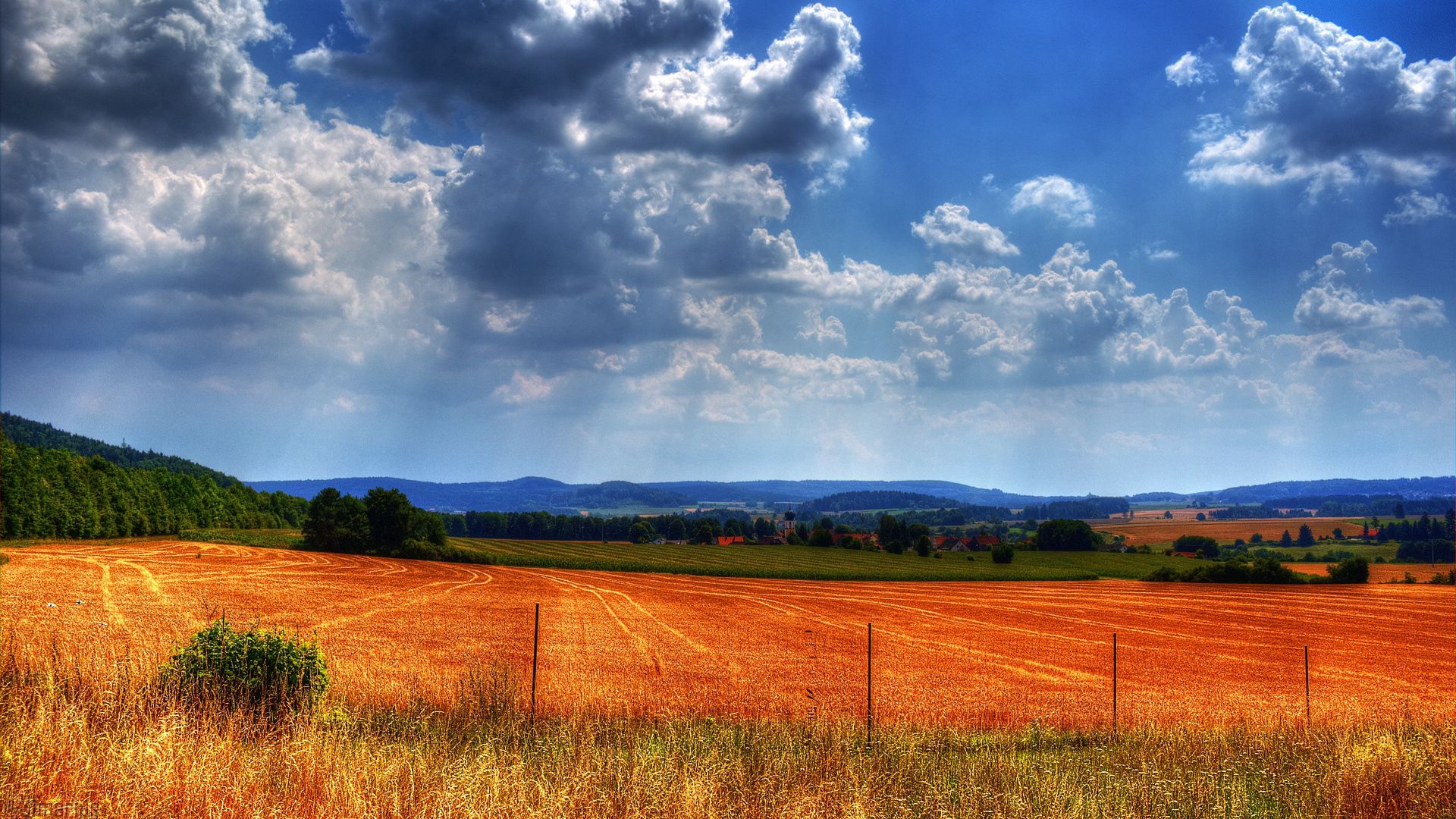 fence, protection, field, colors