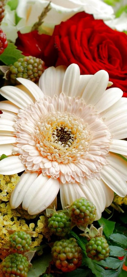 gerbera, roses, flowers, song, bouquet