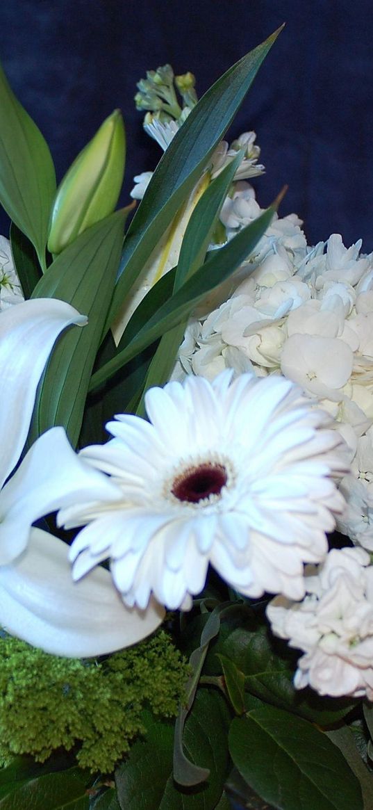 gerberas, lilies, hydrangeas, flowers, bouquet, white