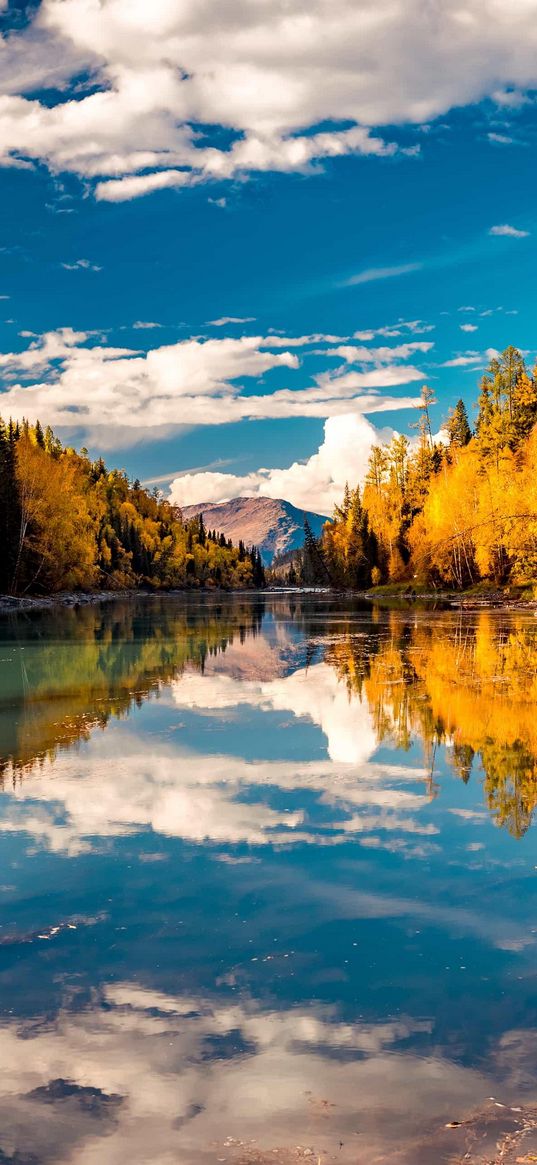 lake, forest, trees, mountains, sunny, nature