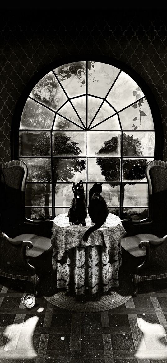 illusion, skull, cat, table, window, armchair, vintage