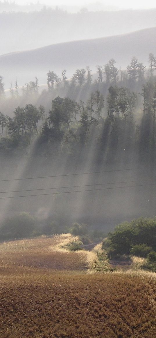 sun, beams, fog, morning, field, hills