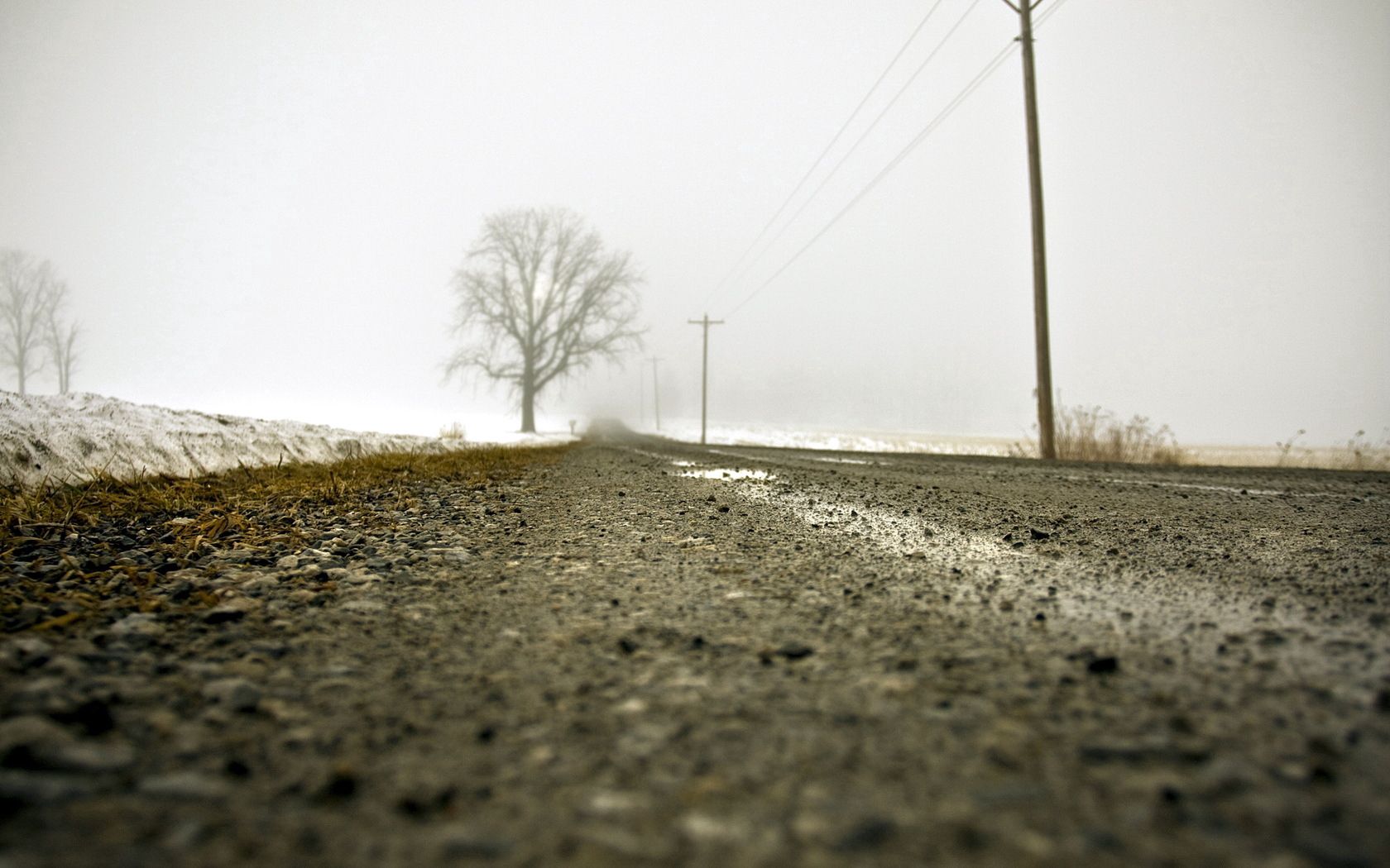 asphalt, expensive, macro, fog