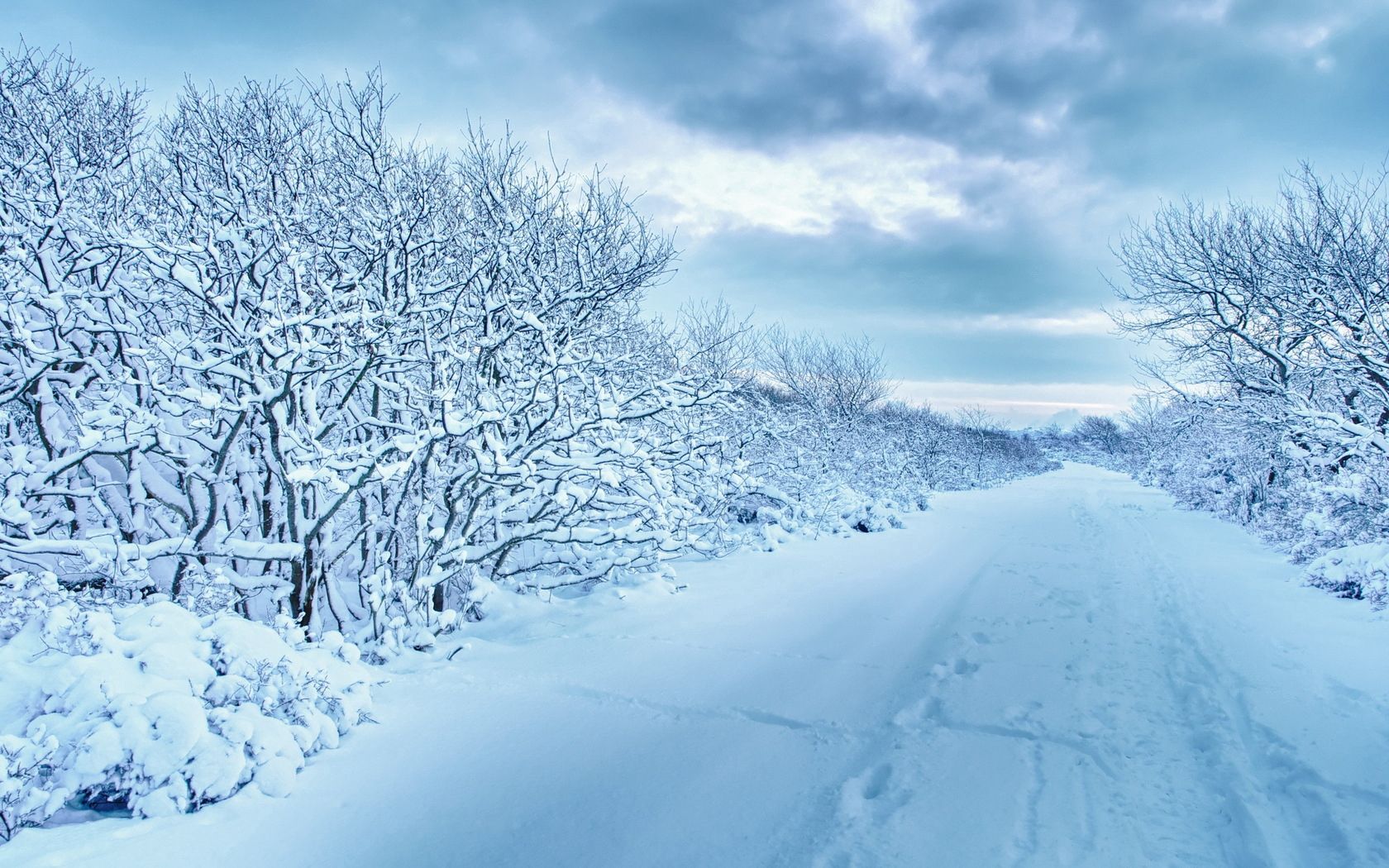 snow, trees, road, traces, winter, cloudy