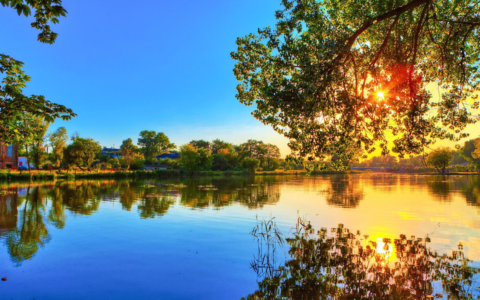 tree, river, krone, leaves, evening, sun, decline, reflection, waves, colors