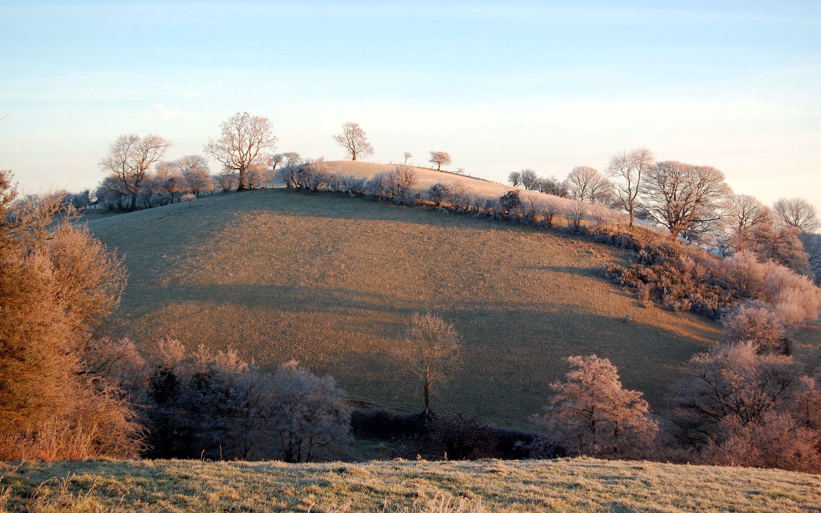 slope, hill, trees, hoarfrost, frosts