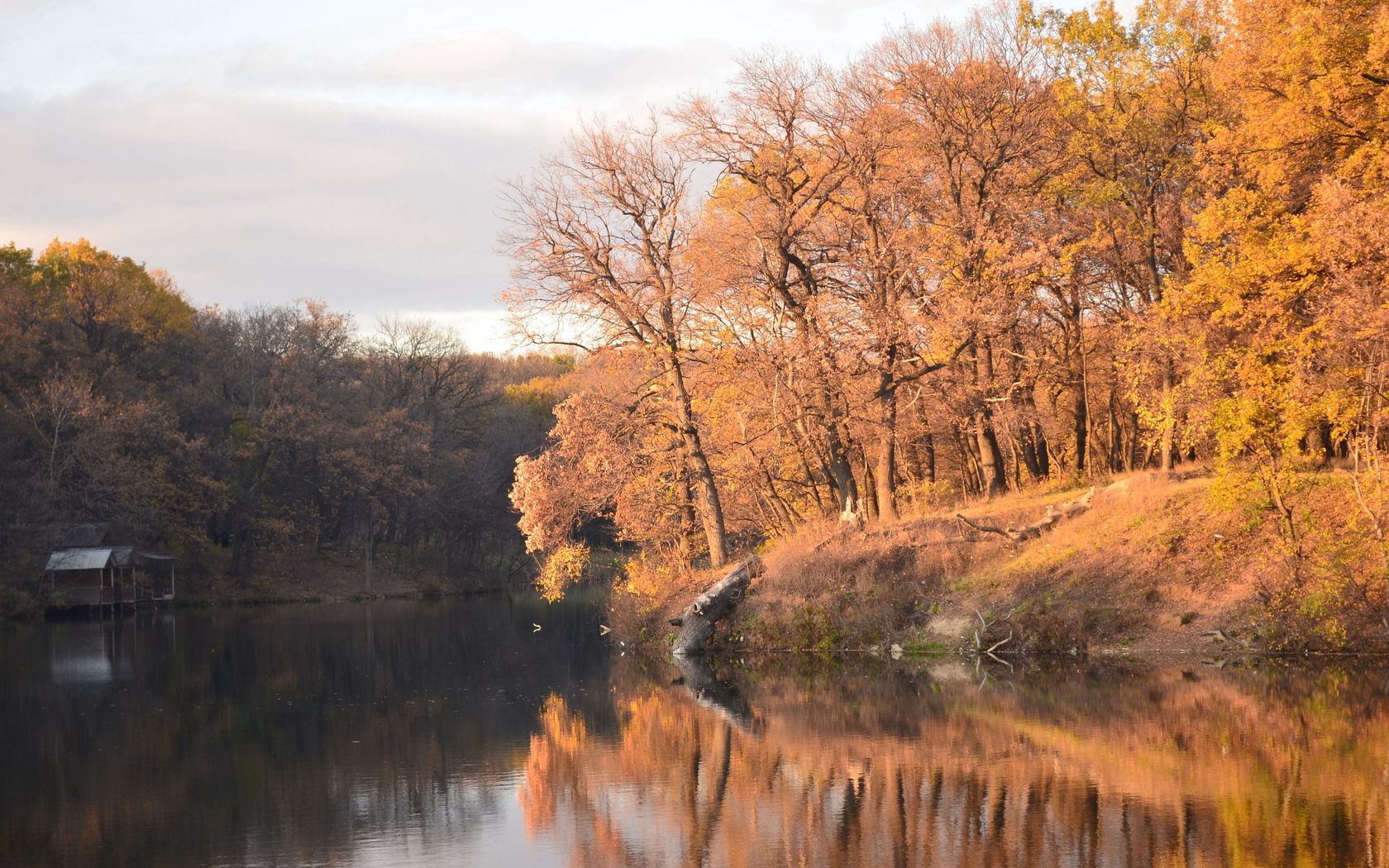 autumn, trees, reservoir