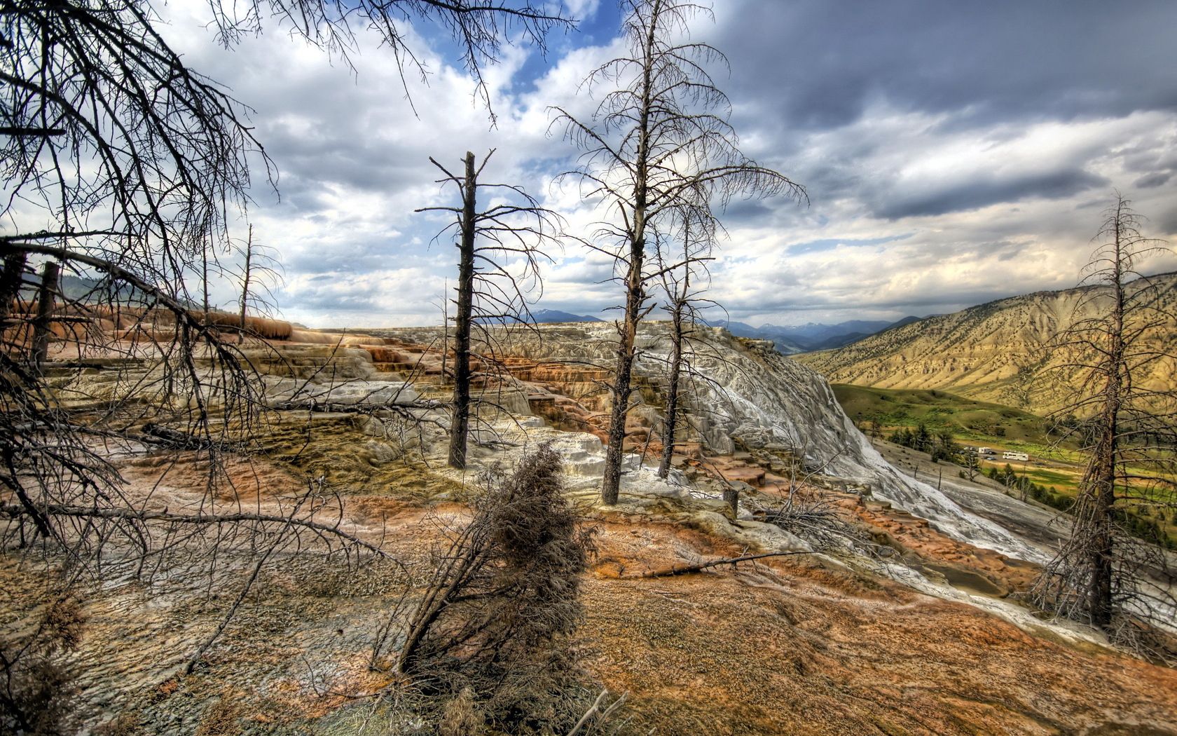 mountains, trees, wood, dead, colors