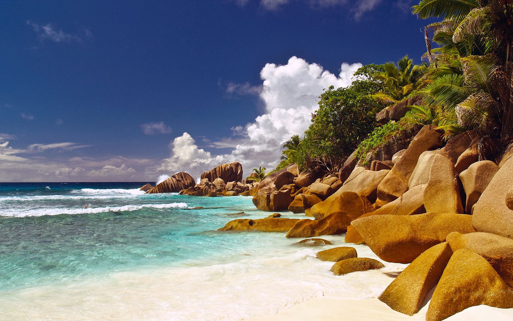 stones, boulders, coast, beach, blue water, palm trees, tropics